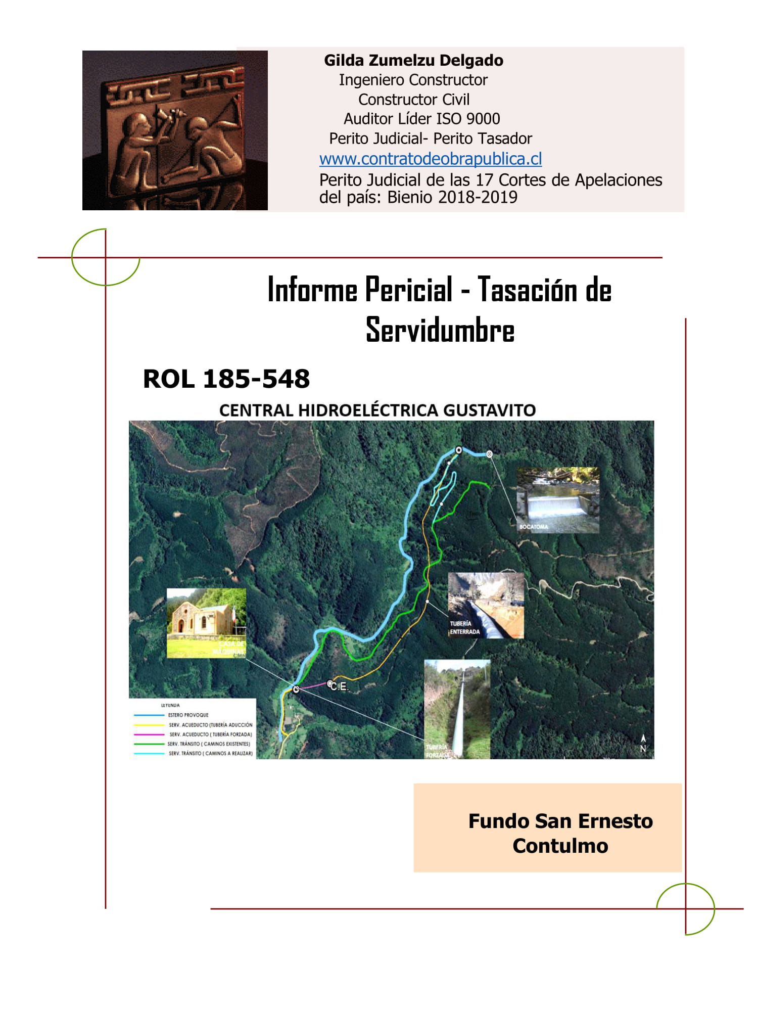 publicacion