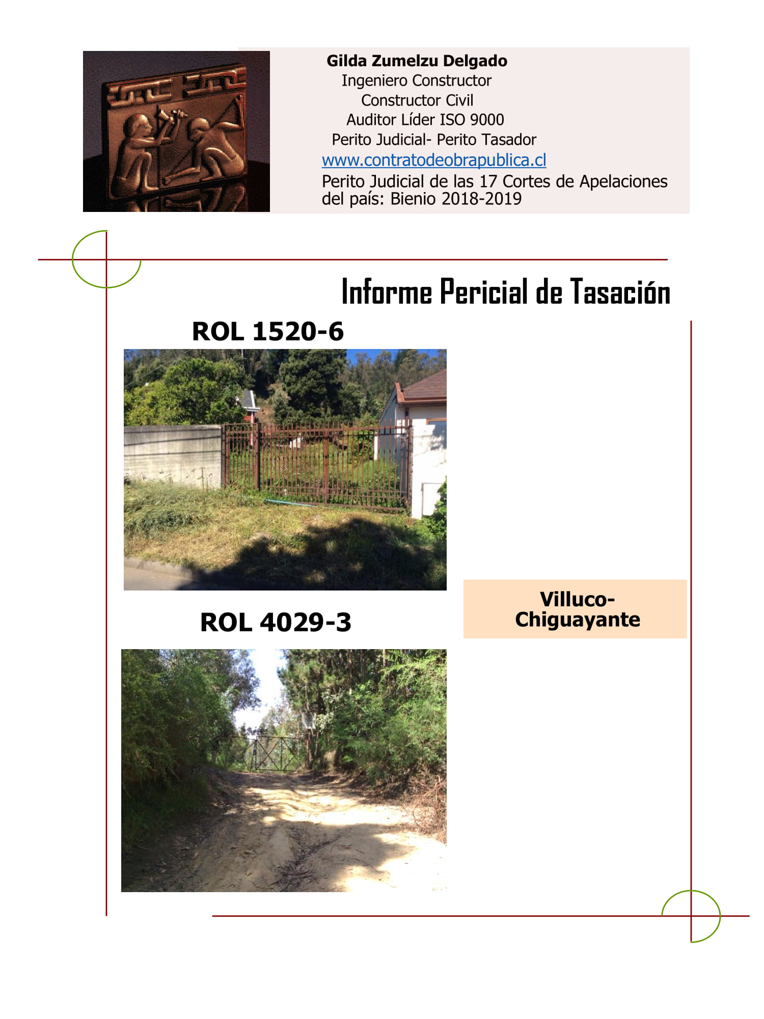 publicacion