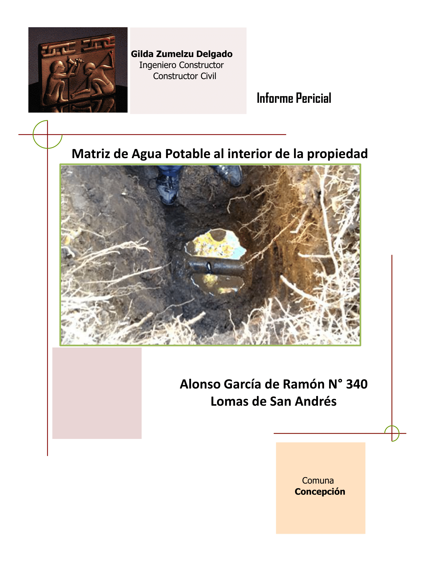 publicacion