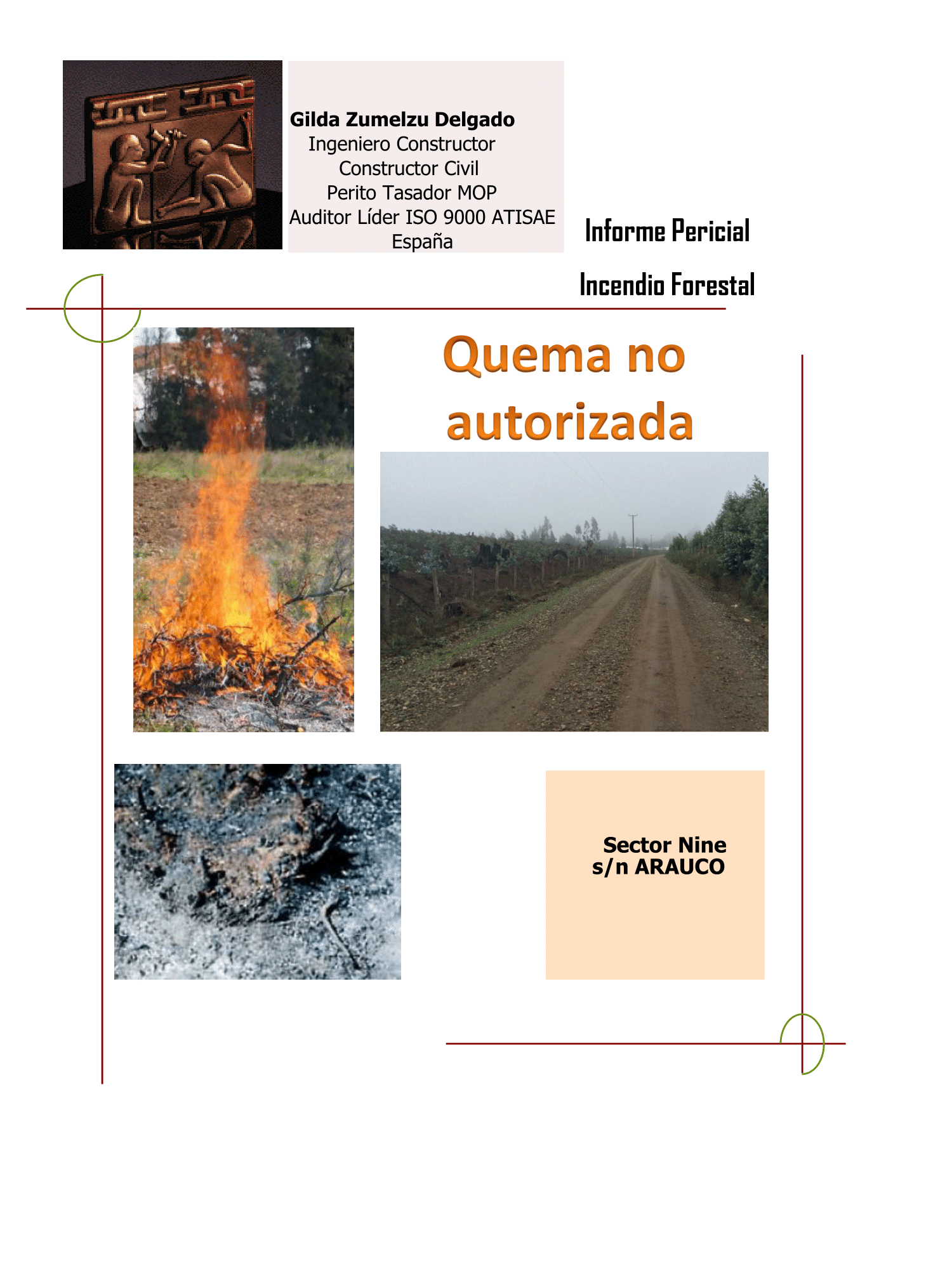 publicacion
