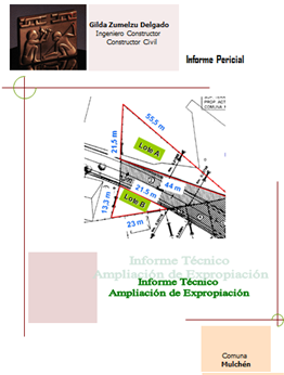 publicacion