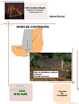 publicacion