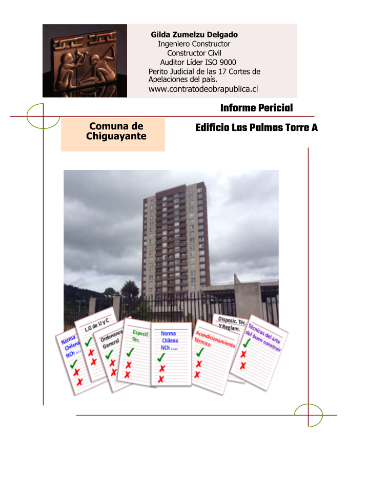 publicacion